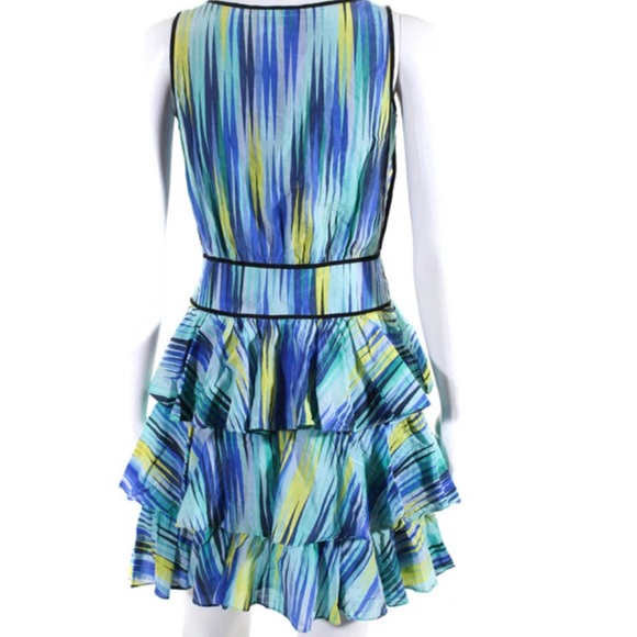 Cynthia Steffe Ruffle Dress: Size 6 - Picture 7 of 10